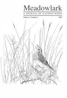 Meadowlark Volume 7 Issue 1 (7.1) 1998