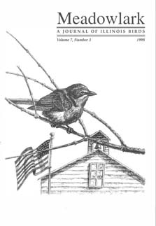 Meadowlark Volume 7 Issue 3 (7.3) 1998