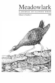 Meadowlark Volume 8 Issue 1 (8.1) 1999