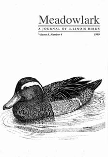 Meadowlark Volume 8 Issue 4 (8.4) 1999