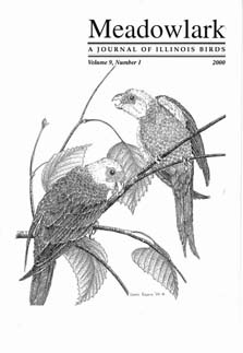 Meadowlark Volume 9 Issue 1 (9.1) 2000