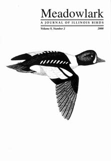 Meadowlark Volume 9 Issue 2 (9.2) 2000