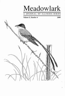 Meadowlark Volume 9 Issue 4 (9.4) 2000