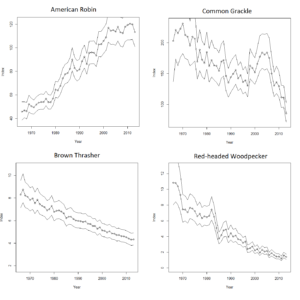 Trends in Bird Population