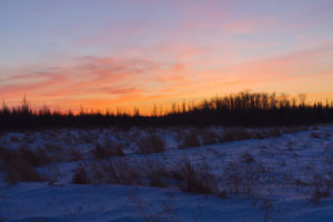 Sunset Sax-Zim Bog by Tyler Funk