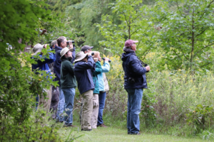 Birding Carlyle by Teresa Fouke