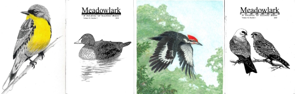 Meadowlark Covers over the Years