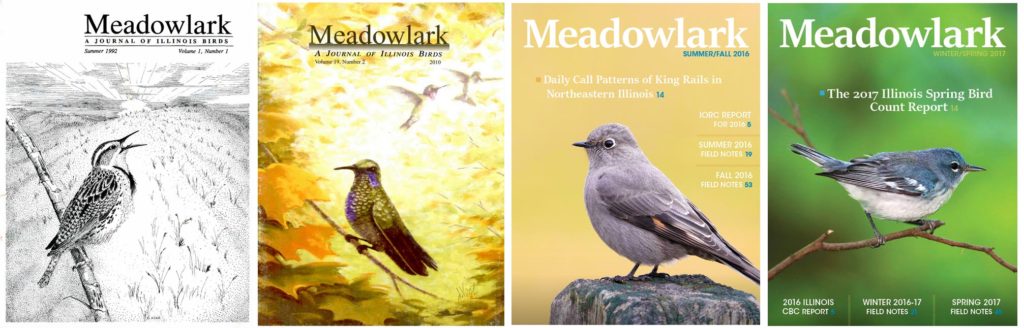 Meadowlark Magazine Covers