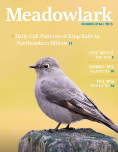 Meadowlark v26.1-2